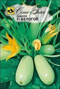 Кабачок Белогор F1, 10 шт.