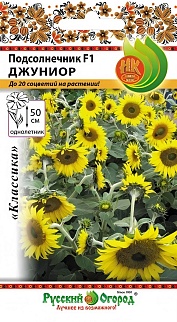Подсолнечник Джуниор F1, 5 шт. Русский огород