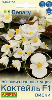 Бегония вечноцветущая Коктейль F1 виски, 7 шт.