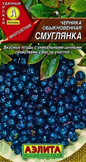 Черника обыкновенная Смуглянка, 0,01 г