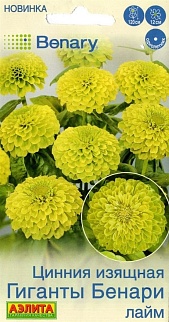 Цинния Гиганты Бенари лайм, 7 шт.