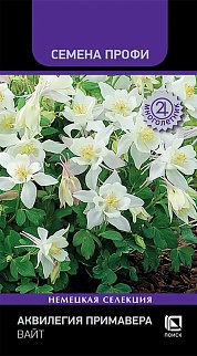 Аквилегия Примавера Вайт, 5 шт. Семена Профи.