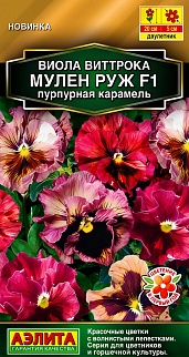 Виола Мулен Руж F1 пурпурная карамель, 5 шт.