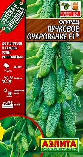Огурец Пучковое очарование F1, 10 шт.