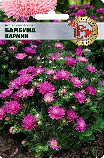 Астра китайская Бамбина Кармин, 20 шт. Биотехника