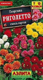 Георгина Риголетто, смесь сортов, 7 шт.