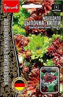 Молодило Цыпочка-Хиппи, 5 шт. драже.