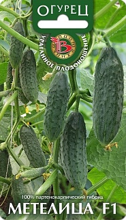 Огурец  Метелица F1, 8 шт. Биотехника