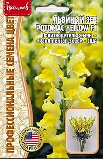 Львиный Зев Potomac Yellow F1, 5 шт.