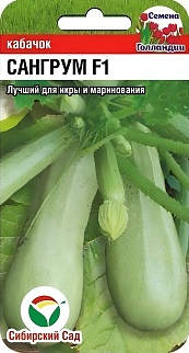 Кабачок Сангрум F1, 5 шт. Голландия. Сибирский сад.