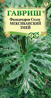 Филодендрон Мексиканский змей, 5 шт. 