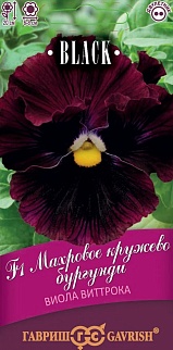 Виола Махровое кружево бургунди F1, 4 шт. 