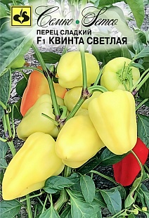 Перец Квинта F1 (светлая), 15 шт.