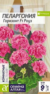 Пеларгония зональная Горизонт Роуз, 4 шт.