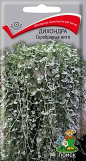Дихондра Серебряные нити, 5 шт.