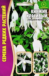 Клематис Княжик Красивый, 3 шт.