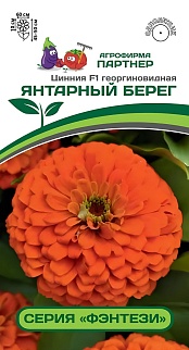 Цинния Янтарный Берег F1, георгиновидная, 4 шт.