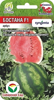 Арбуз Бостана F1, 3 шт. Семена Голландии. Сибирский сад.