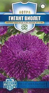 Астра Гигант виолет, 0,05 г. Русский богатырь 