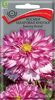 Космея Махровая кнопка Биколор Виолет, 0,1 г