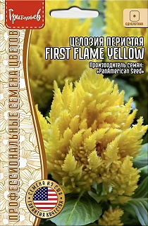 Целозия First Flame Yellow перистая, 4 шт. драже.