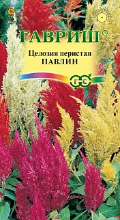 Целозия перистая Павлин, 0,1 г