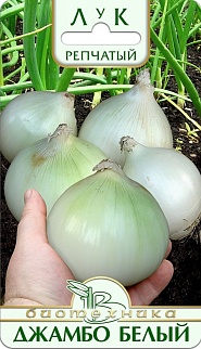 Лук репчатый Джамбо Белый, 0,5 г Биотехника