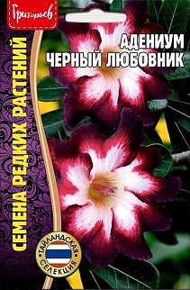 Адениум Черный Любовник, 3 шт.