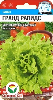 Салат Гранд Рапидс, 0,5 г. Сибирский сад