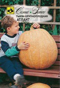 Тыква крупноплодная Атлант, 10 шт.