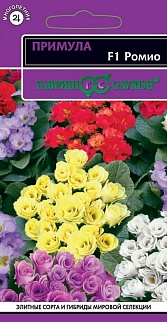 Примула Ромио F1 махровая, 3 шт.