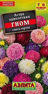 Астра Гном смесь окрасок, 0,2 г