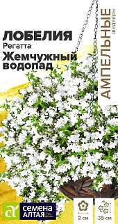 Лобелия Регатта Жемчужный Водопад ампельная, 5 шт. Ампельные Шедевры. 