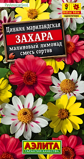 Цинния Захара малиновый лимонад, смесь сортов, 5 шт.