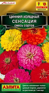 Цинния Сенсация, смесь сортов, 12 шт.