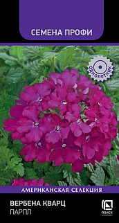 Вербена Кварц Парпл, 10 шт. Семена Профи