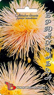 Астра китайская Валькирия Брюнхильда, 20 шт. Биотехника