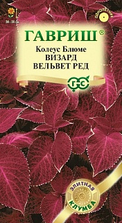 Колеус Визард Вельвет ред, 5 шт. Элитная клумба.