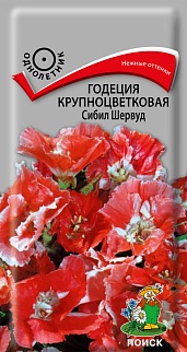 Годеция Крупноцветковая Сибил Шервуд, 0,2 г