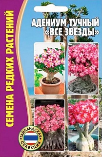 Адениум Все звёзды, 3шт. 