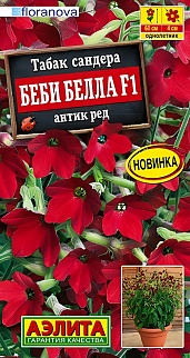 Табак сандера Беби Белла F1 антик ред, 7 шт.
