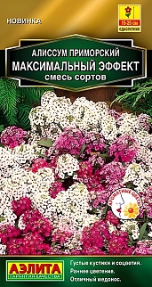 Алиссум Максимальный эффект, смесь сортов, 0,05 г