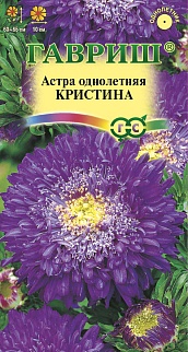 Астра Кристина фиолетовая, принцесса, 0,3 г