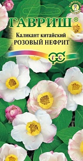 Каликант китайский Розовый нефрит, 3 шт.