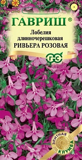 Лобелия Ривьера Розовая, 5 шт. Элитная клумба. 