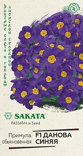 Примула Данова синяя F1, 5 шт. Саката.