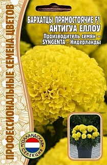 Бархатцы прямостоячие Antigua Yellow (Антигуа Желтый) F1, 5 шт.
