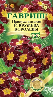 Примула высокая первоцвет Кружева королевы F1, 5 шт. Элитная клумба.