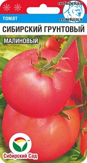 Томат Сибирский грунтовый малиновый, 20 шт. Сибирский сад
