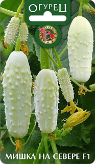 Огурец Мишка на севере F1, 12 шт. Биотехника